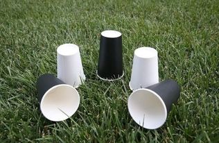 造纸设备 太阳纸业成功研发出 无塑涂布食品包装用纸 中国自动化网