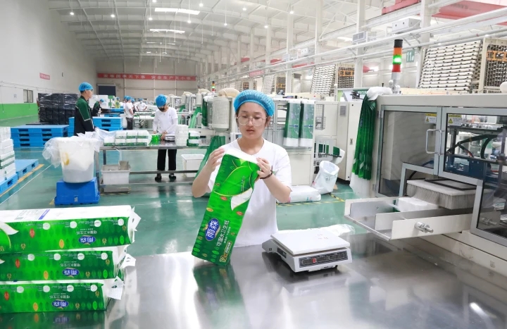 【美丽鞍山】雨森纸业:扎根本地沃土 深耕东北市场 3日,台安经济开发