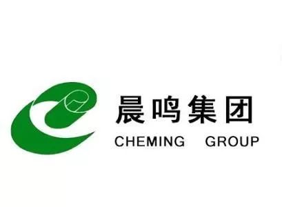 晨鸣纸业再收2.28亿政府补助,资金已全部到位