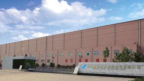 晨鸣纸业前三季预计盈利22亿元 同比翻一番