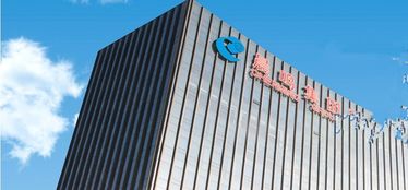 342亿元资产受限 444亿元短期借款压顶 晨鸣纸业下一个 爆雷