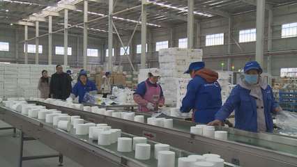 政府注资风险补偿，助力企业融资57813万元——纸业发展新动力