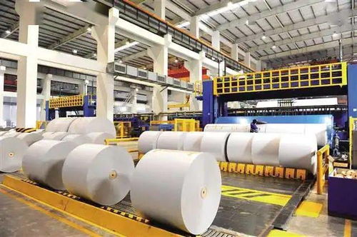 江津工业五年强基 纸业发展势头迅猛