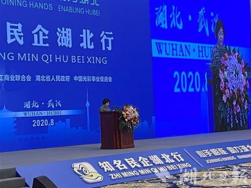 玖龙纸业张茵 荆州是一块投资的好地方