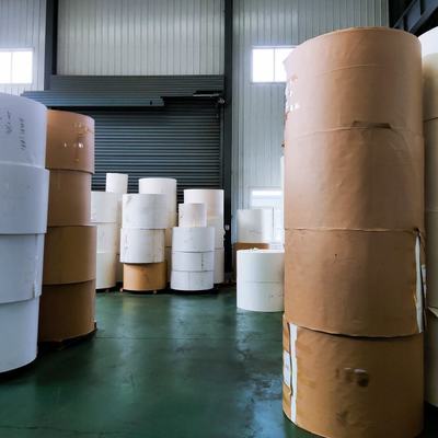 根深纸业 以绿色为基，构筑可持续发展的中国纸业典范